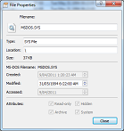 File Properties Dialog